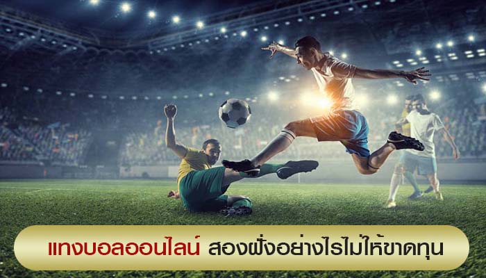 แทงบอล 2022